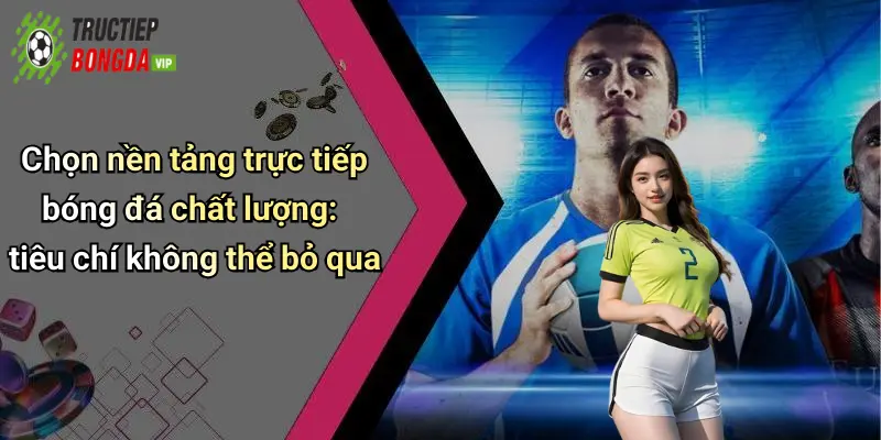 Chọn nền tảng trực tiếp bóng đá chất lượng: tiêu chí không thể bỏ qua