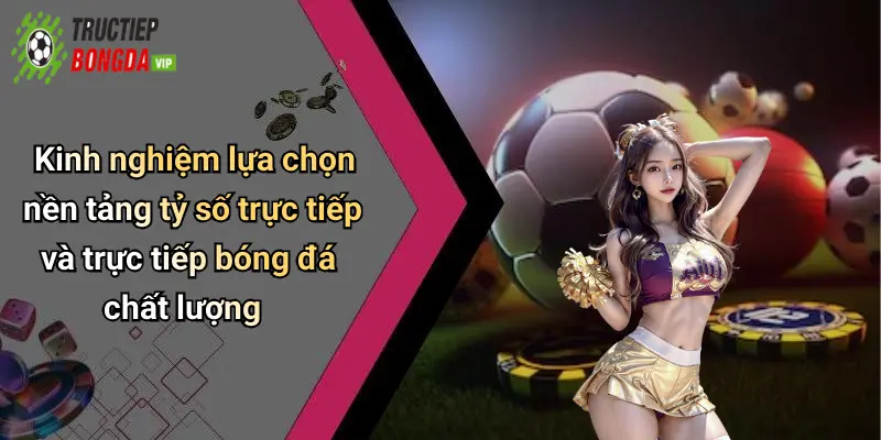 Kinh nghiệm lựa chọn nền tảng tỷ số trực tiếp và trực tiếp bóng đá chất lượng