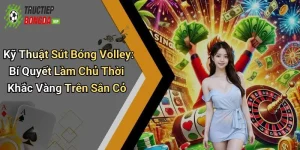Kỹ Thuật Sút Bóng Volley: Bí Quyết Làm Chủ Thời Khắc Vàng Trên Sân Cỏ