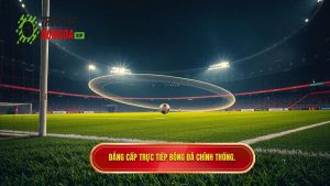 Đẳng cấp TRỰC TIẾP BÓNG ĐÁ chính thống.