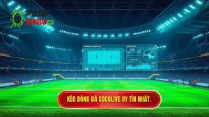 Kèo bóng đá Socolive: Cẩm nang soi kèo và cập nhật tỷ lệ trực tuyến chuẩn xác