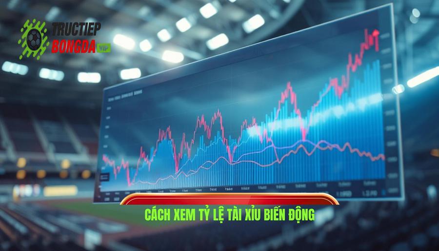 Hiểu rõ bản chất của tỷ lệ tài xỉu biến động theo trận đấu