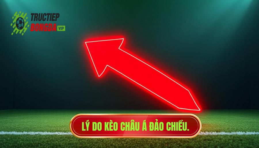 Nguyên nhân dẫn đến hiện tượng kèo Châu Á đảo chiều bất ngờ