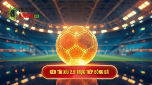 Kèo tài xỉu 2.5 toàn trận là gì? Bí quyết soi kèo từ chuyên gia