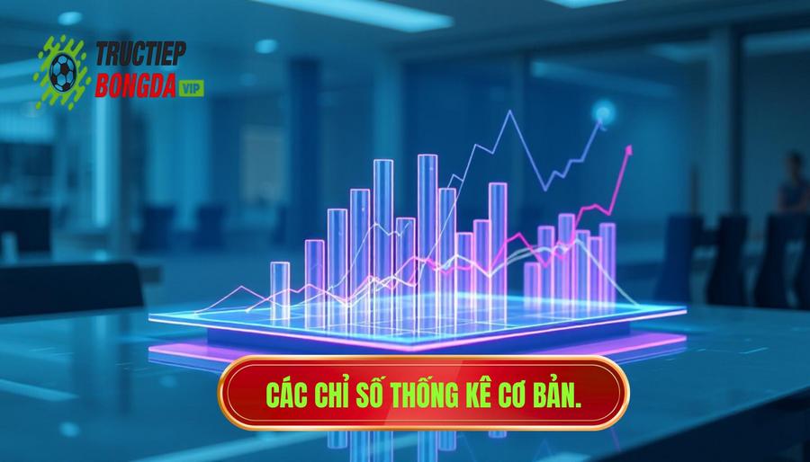 Các chỉ số thống kê cơ bản - Cái nhìn đầu tiên